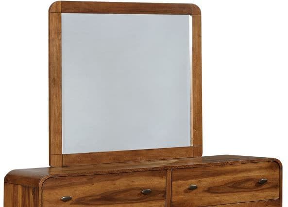 Coaster® Robyn Dark Walnut Dresser & Mirror-2