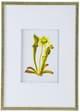 A & B Home 4-Piece Green/Orange/Yellow Botanical Wall Art Set-1