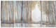 Olliix by Madison Park Multi-Colored Set of 3 Forest Reflections Gel Coated Canvas-0