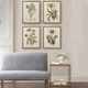 Olliix by Martha Stewart Green Set of 4 Herbal Botany Framed Linen Canvas-1