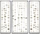 Olliix by Madison Park Signature Gold Set of 3 Clement Metal Wall Decor-0