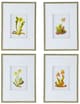 A & B Home 4-Piece Green/Orange/Yellow Botanical Wall Art Set-0