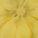 Olliix by Madison Park Yellow Bloom Yellow Hand Embellished Canvas-1