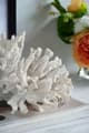 A & B Home White Expansive Faux Coral Accent-4