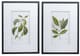 A & B Home 2-Piece Black/Green/White Wall Art Set-0