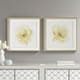 Olliix by Madison Park Signature Ivory Ladies Rose 2 Piece Ivory Glass Framed Graphic Single Floating Mat Set-4