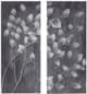 Olliix by Madison Park Grey Branches 2 Piece Reclaimed Grey Print on Wood with Handpaint Set-1