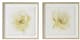 Olliix by Madison Park Signature Ivory Ladies Rose 2 Piece Ivory Glass Framed Graphic Single Floating Mat Set-0