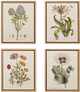 Olliix by Martha Stewart Green Set of 4 Herbal Botany Framed Linen Canvas-0