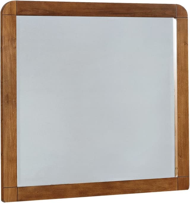 Coaster® Robyn Dark Walnut Dresser & Mirror-1