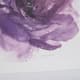 Olliix by Madison Park Signature Purple Set of 2 Purple Ladies Rose Frame Graphic Print-4