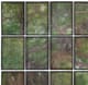 A & B Home 12-Piece Brown/Green Wall Art Set-1