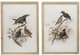 A & B Home 2-Piece Bird Framed Print Set-1