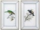 A & B Home 2-Piece Blue/Green Mirrored Frame Bird Wall Art Print Set-1