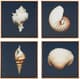Olliix by Madison Park Ocean Seashells 4 Piece Blue Framed Canvas-0