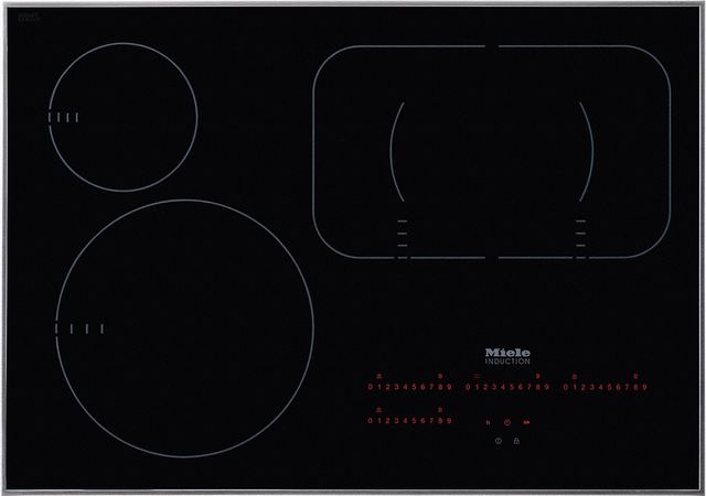 Induction Cooktop Albert Lee