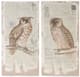 A & B Home Lilith 2-Piece Beige/Brown Owl Print Wall Art Set-0