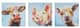 Olliix by Madison Park Farm Animals 3 Piece Multi Printed Canvas-1