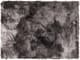 Surya Felina Charcoal 50"x70" Throw Blanket-0