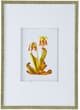A & B Home 4-Piece Green/Orange/Yellow Botanical Wall Art Set-3