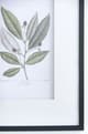 A & B Home 2-Piece Black/Green/White Wall Art Set-4