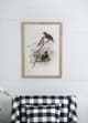 A & B Home 2-Piece Bird Framed Print Set-5