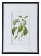 A & B Home 2-Piece Black/Green/White Wall Art Set-1