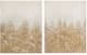 Olliix by Madison Park Gold Set of 2 Golden Glimmer Hand Brush Embellished Canvas-0