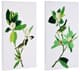 A & B Home Magnolia 2-Piece Creamy White/Green Blooms Wall Art-0