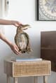 A & B Home Gold Bird Photo Frame-5