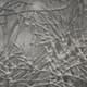 A & B Home Giotto Gray/Warm Brown Forest Wall Decor-3