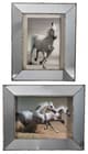 A & B Home 2-Piece Gray/White Daven Galloping Horse Wall Art Set-1