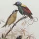 A & B Home 2-Piece Bird Framed Print Set-3