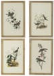 A & B Home 4-Piece Brown Bird Framed Print Wall Art Set-0