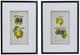 A & B Home 2-Piece Botanical Wall Art Set-1