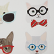Olliix by Intelligent Design Hip Cat Multi Printed MDF Box-3
