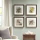 Olliix by Martha Stewart Pretry Bird 4 Piece Set Multi-Colored Double Mat Framed Graphic-4