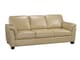 Dublin Collection Leather Sofa-0
