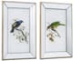 A & B Home 2-Piece Blue/Green Mirrored Frame Bird Wall Art Print Set-0