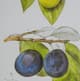 A & B Home 2-Piece Botanical Wall Art Set-3