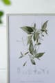 A & B Home 4-Piece White/Green Botanical Wall Arts Set-4