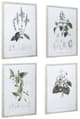 A & B Home 4-Piece White/Green Botanical Wall Arts Set-0