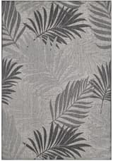 Gray Palms