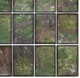 A & B Home 12-Piece Brown/Green Wall Art Set-2