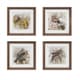 Olliix by Martha Stewart Pretry Bird 4 Piece Set Multi-Colored Double Mat Framed Graphic-0