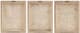 Olliix by Madison Park Linen Botanicals 3 Piece Multicolor Printed Linen Canvas Set-3