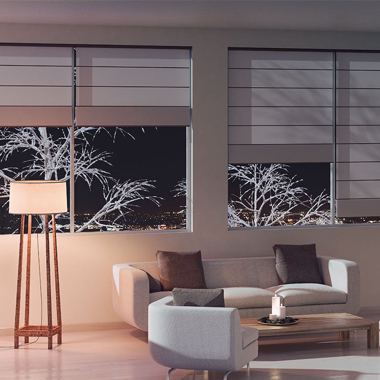 Motorized Shades