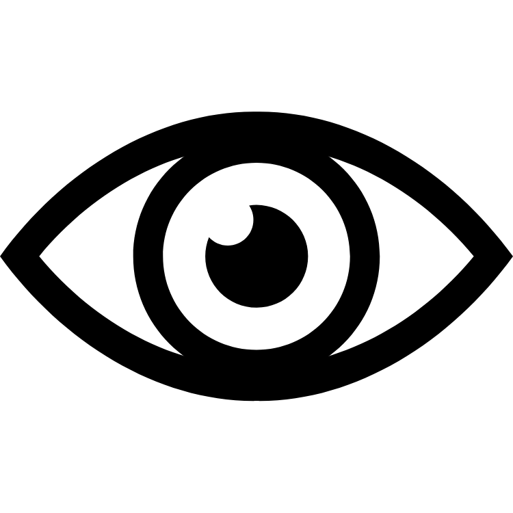 Hidden Audio Video 