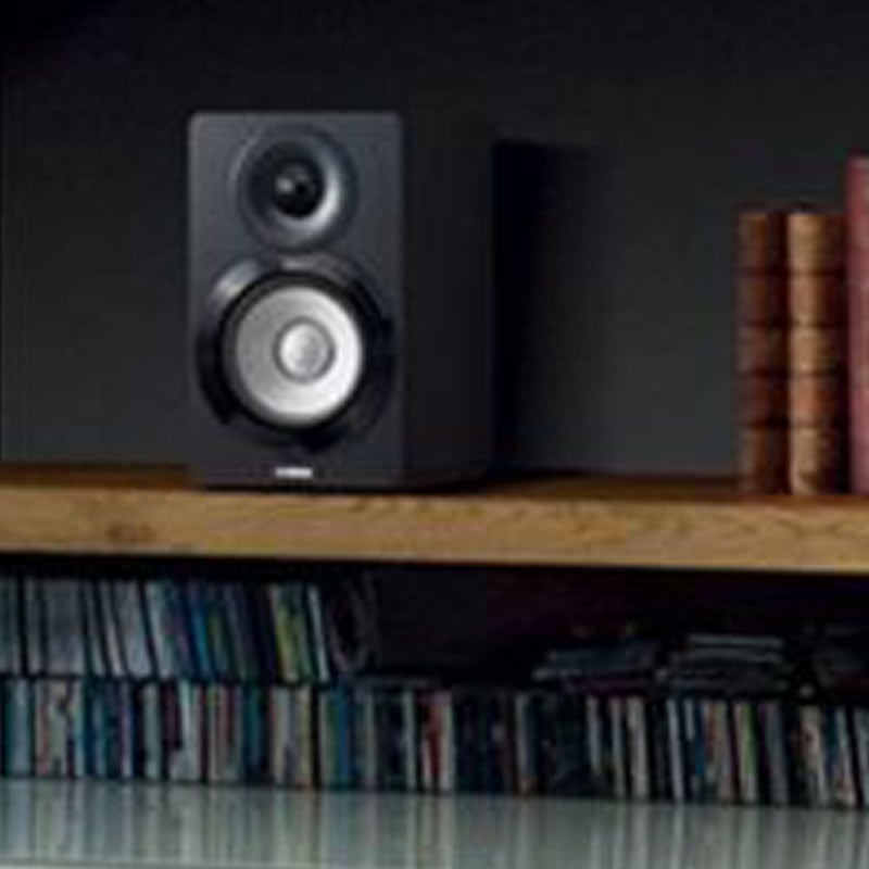 Floor Standing an Bookshelf Speakers