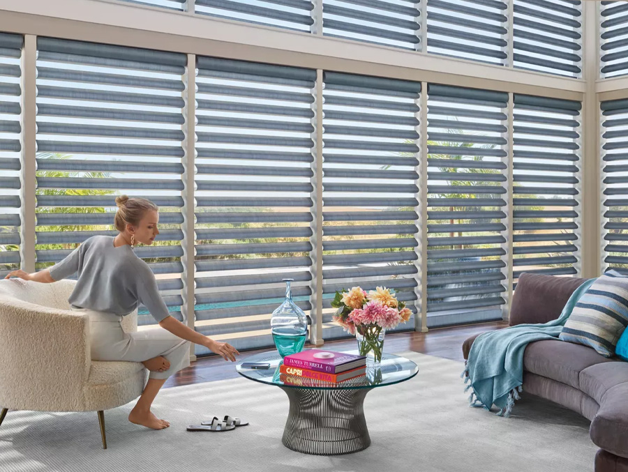 Sheer Shades in living room